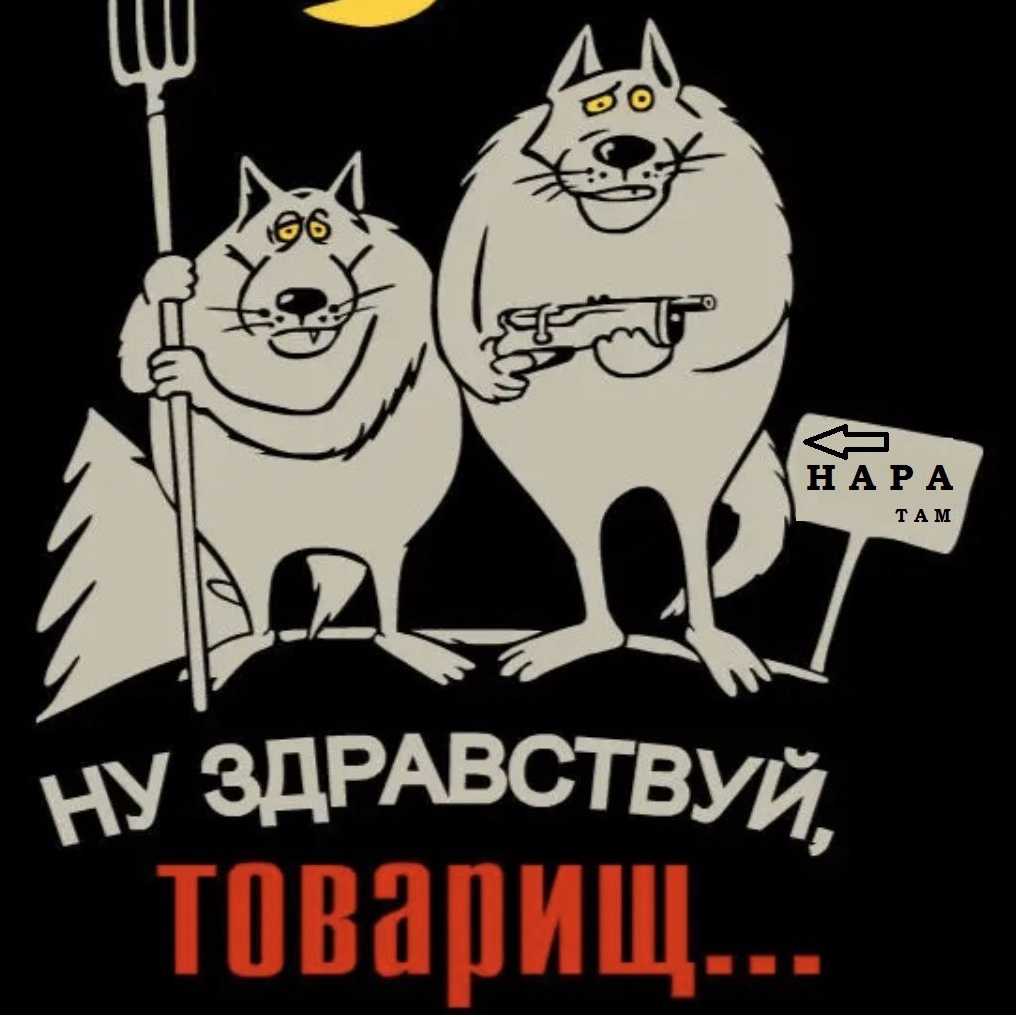 Фразеологизмы: виды, особенности + более 20 примеров использования