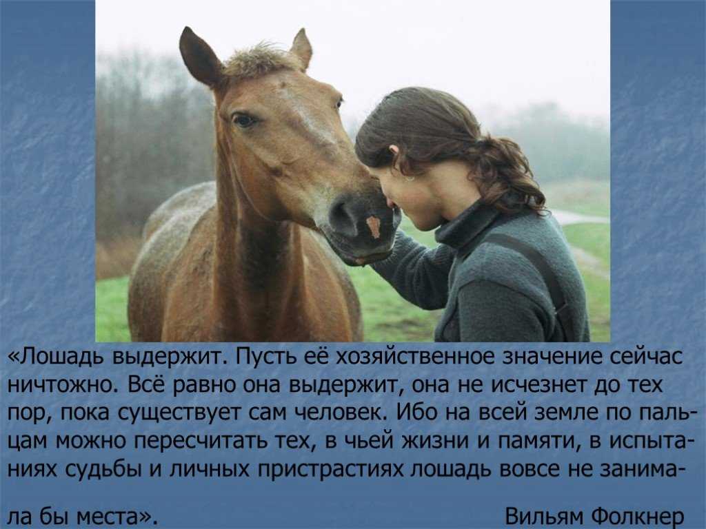 Кони двинуть что это значит — ответы на вопросы и подробное объяснение
