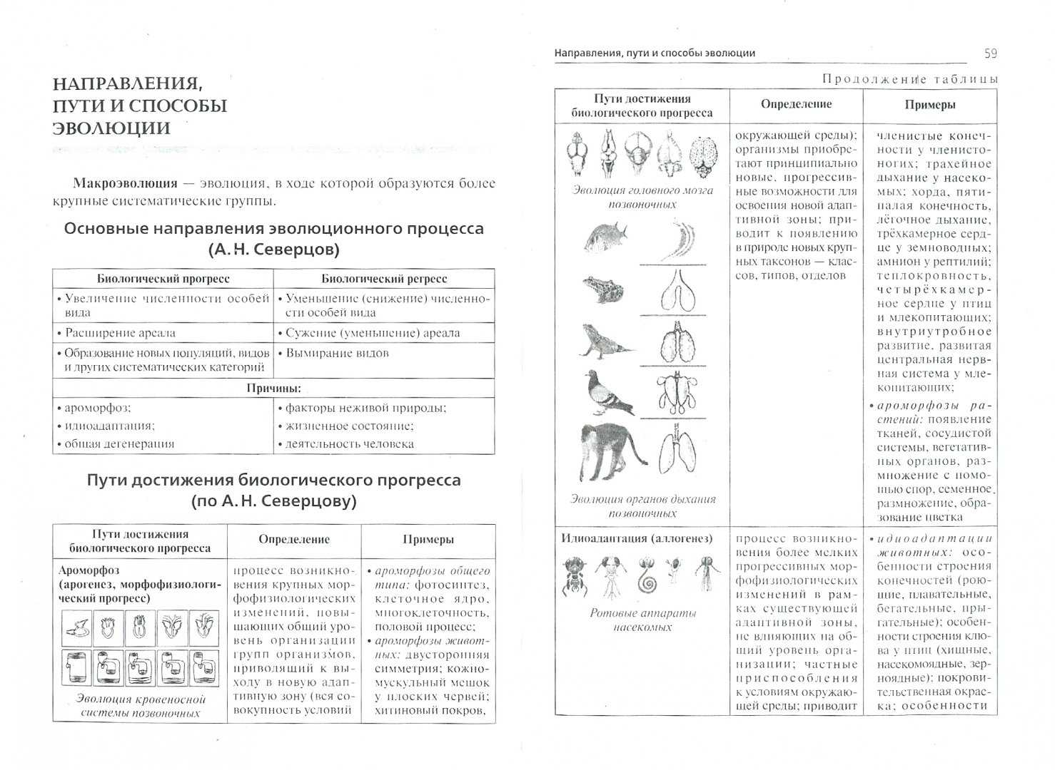 Кто охотится на орлов. кто же это?