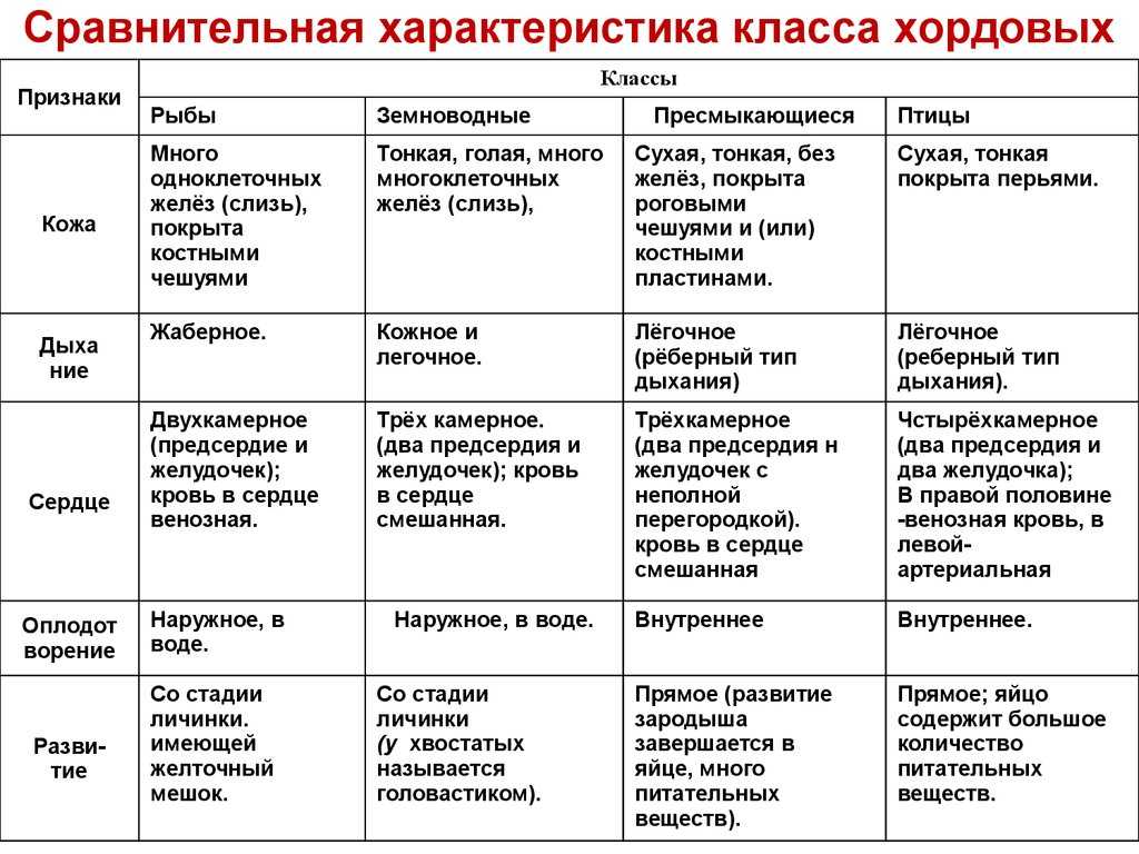 Александр онуфриевич ковалевский (1840-1901) [1948 - - люди русской науки. том 2]