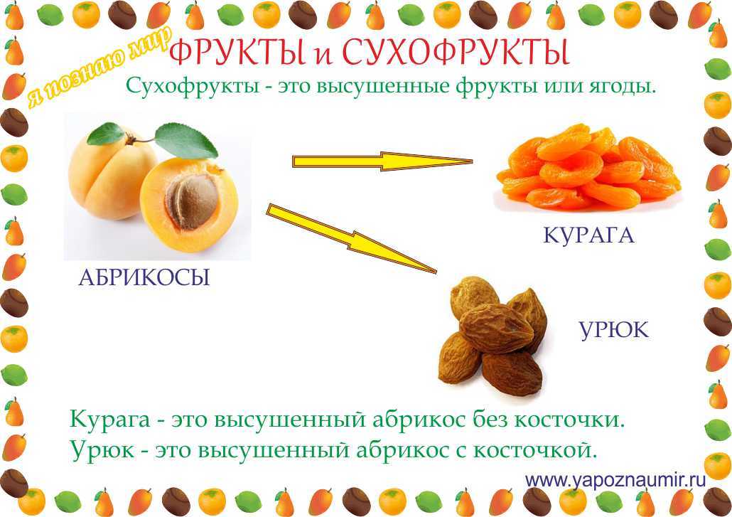 Как сушить абрикосы в домашних условиях - все популярные способы - пошаговые рецепты без мяса, без дрожжей, без муки, без яиц