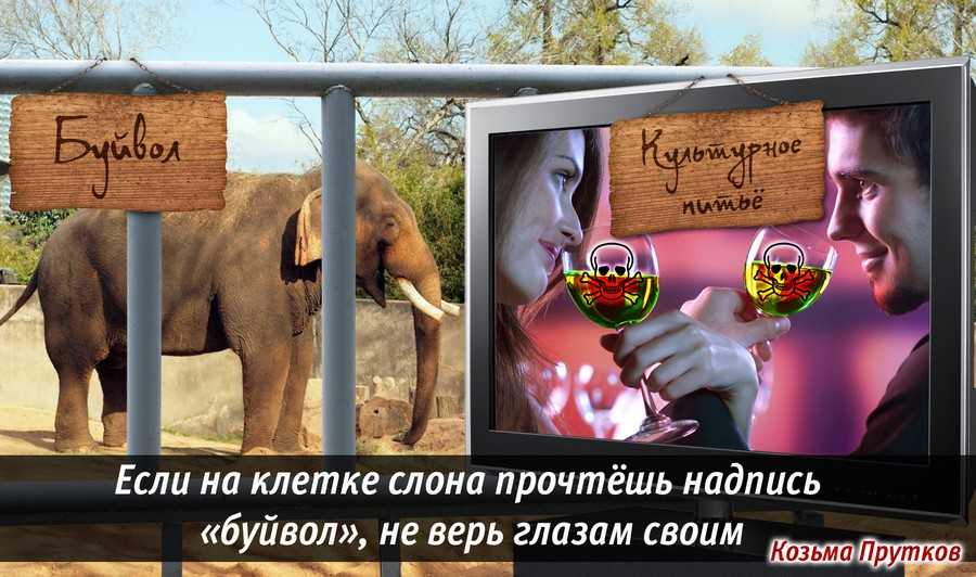Что означает фраза "не верь глазам своим" - важные содержательные знания от teamcom