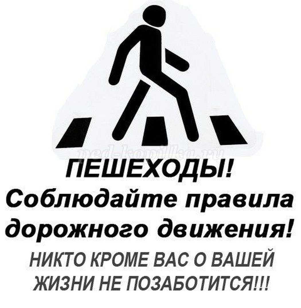 Помогите подобрать вопросы для викторины по пдд??? - татьяна алексеевна черненко