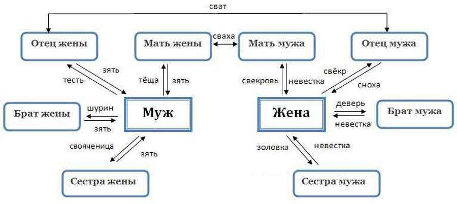 Степени родства у русских: кто мы друг другу после свадьбы