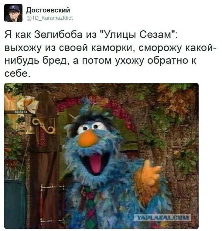 Что такое мемы и почему они так популярны | рбк тренды
