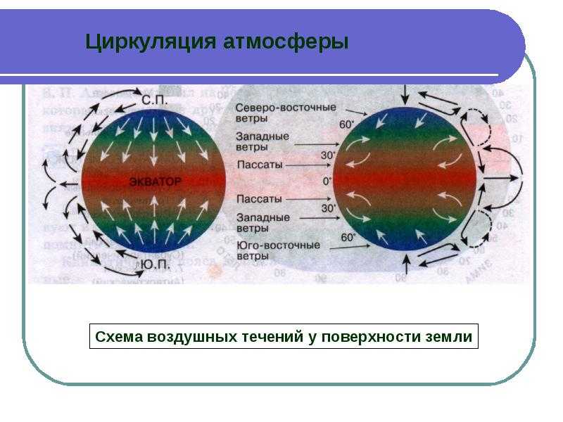 Ветер юго-восточный: причины и значение