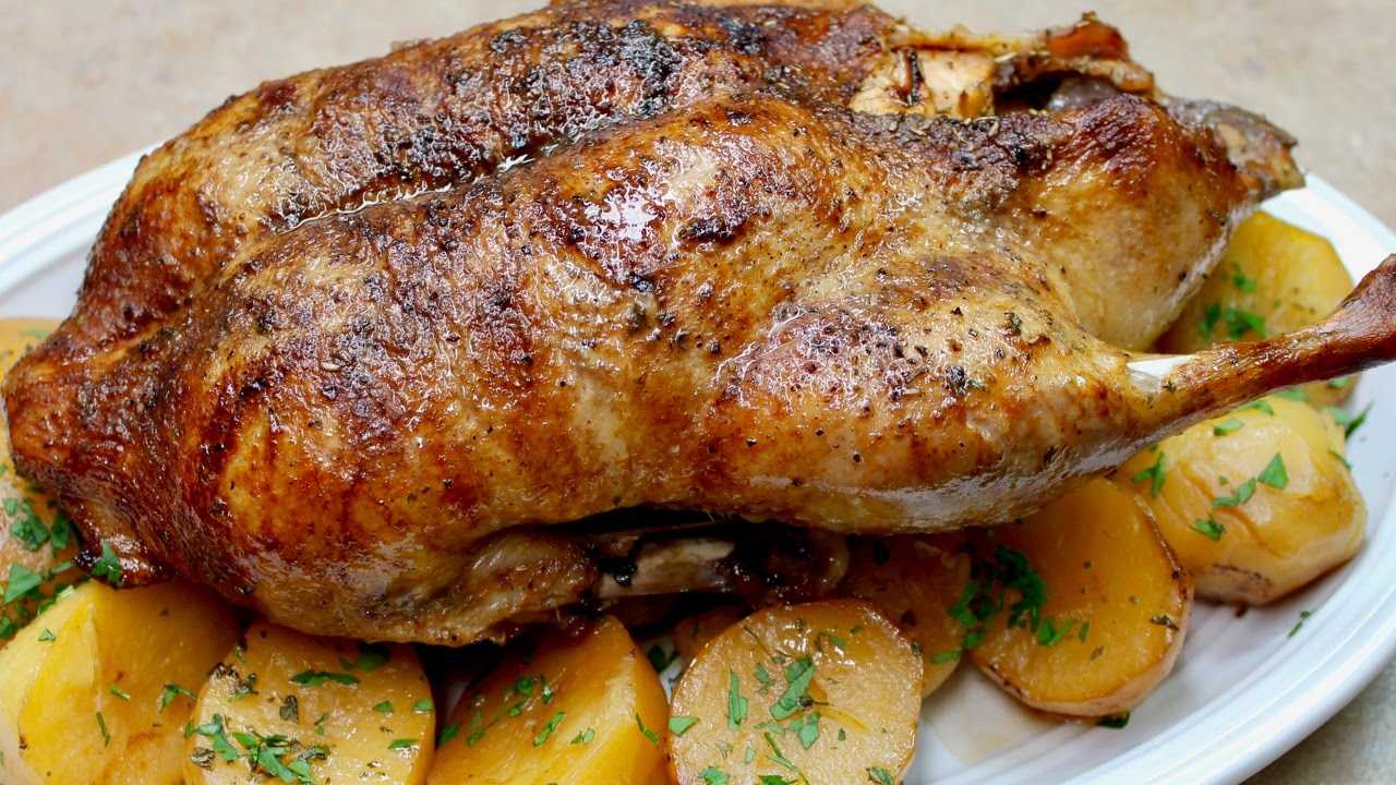 Как приготовить индоутку в духовке, чтобы мясо было мягким и сочным: рецепты с фото пошагово (видео)