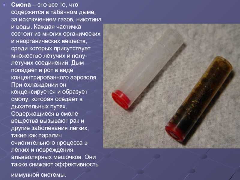 Табак для кальяна: марки, крепость, сорта, миксы. сорта и виды табака все возможные типы табака