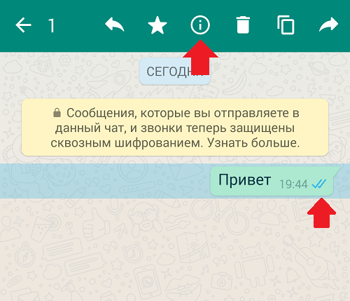 Одна галочка в whatsapp что значит: что означают галочки в сообщениях