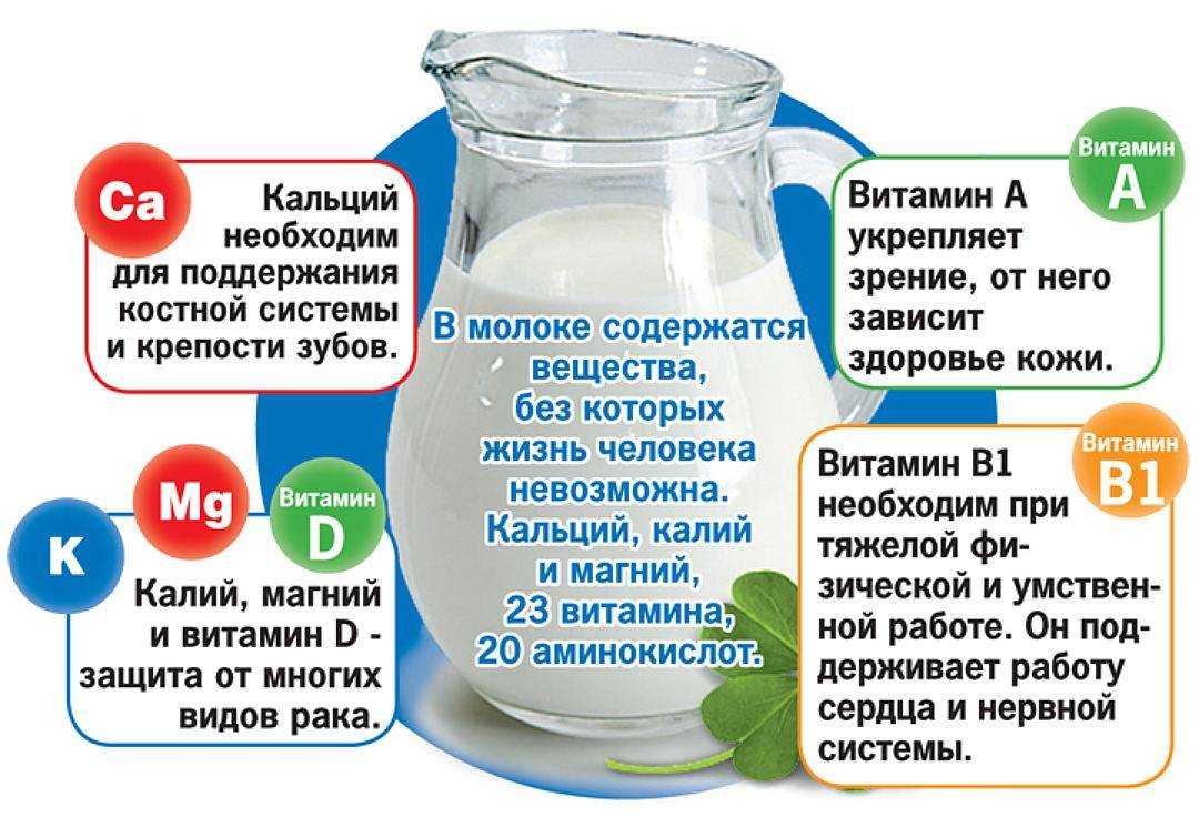Как сделать домашнюю простоквашу из молока – кисломолочные продукты на любой вкус. секреты: как сделать домашнюю простоквашу из молока тремя способами - автор екатерина данилова - журнал женское мнение