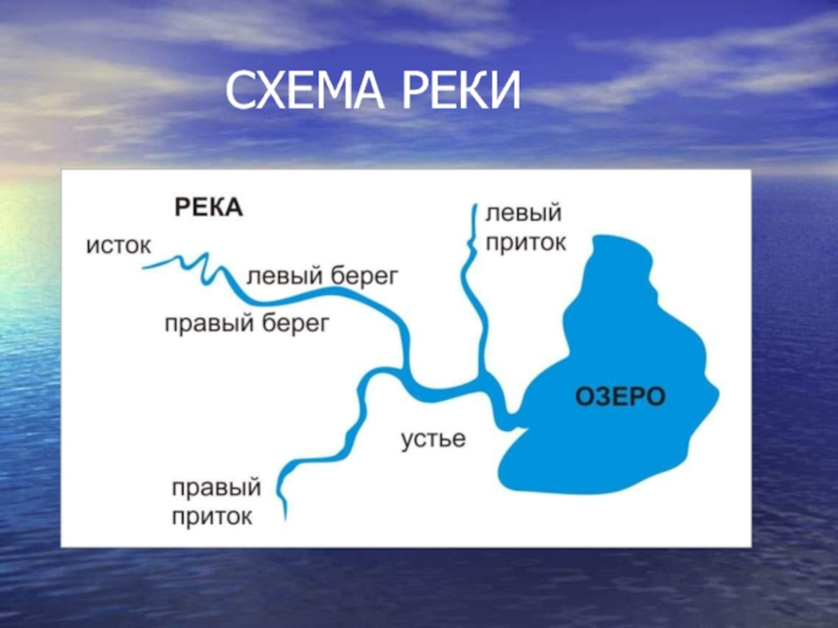Амударья и сырдарья: что это такое и в чем их особенности?