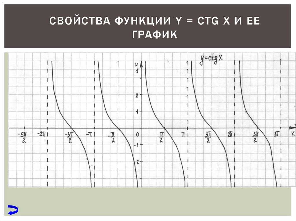 Что такое икс нулевое в алгебре: определение и особенности