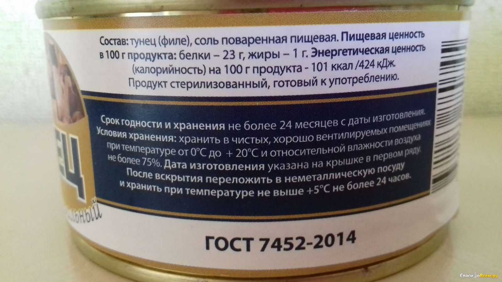 Фрегат великолепный | мир животных и растений