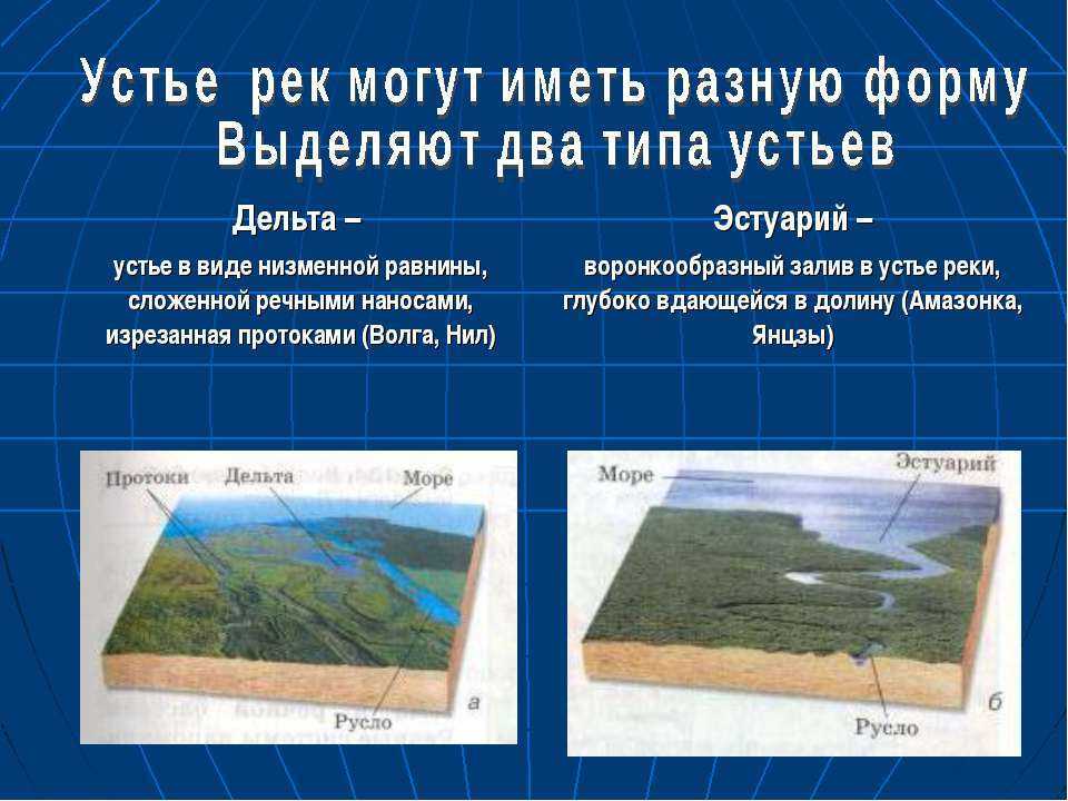 Дельта и эстуарий реки