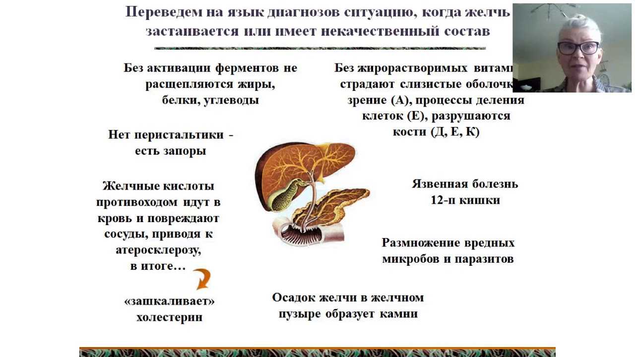 Желчь – это важный компонент пищеварения