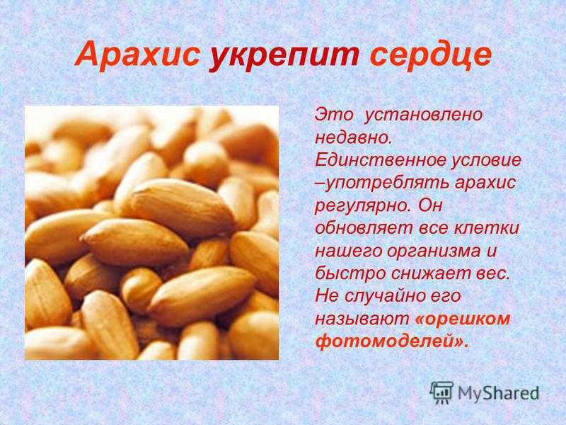 Арахис. польза и вред для организма, сколько нужно съесть — дары природы.су