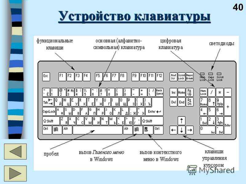 Расположение пальцев — клавиатурный тренажер stamina-online