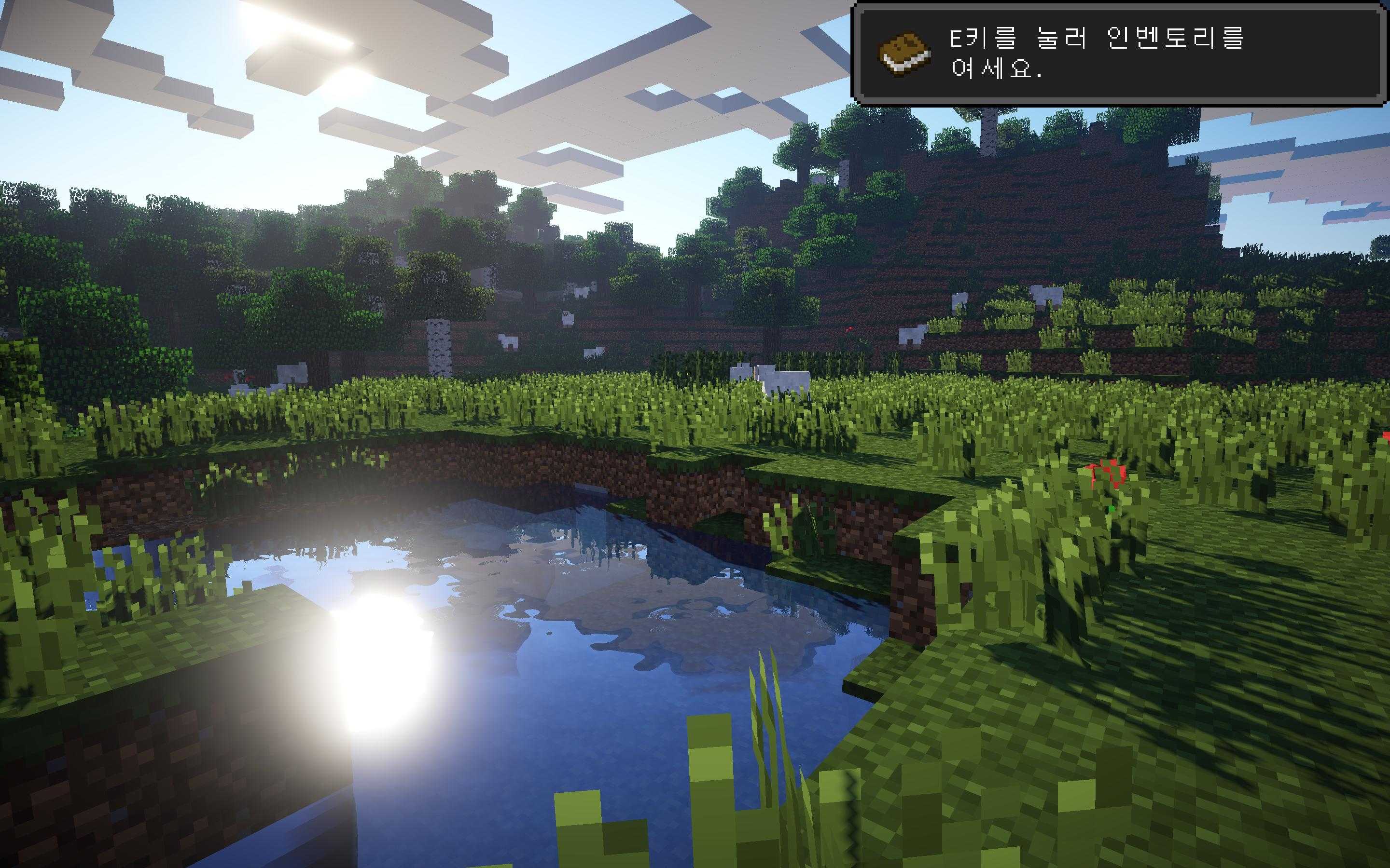 How to install optifine