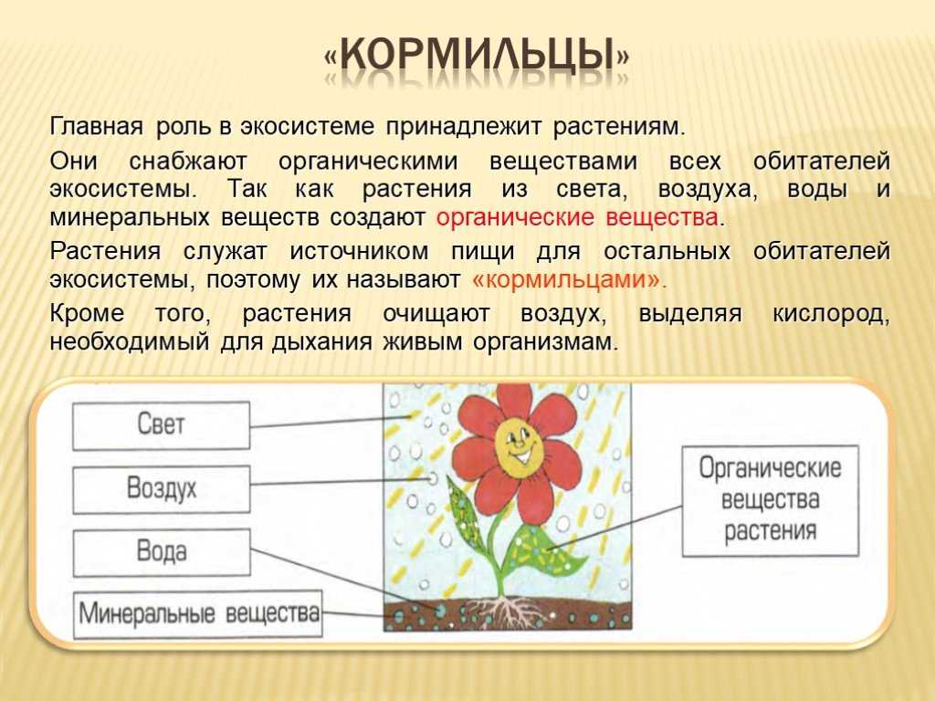 Глава 6. пути стабилизации экологической ситуации