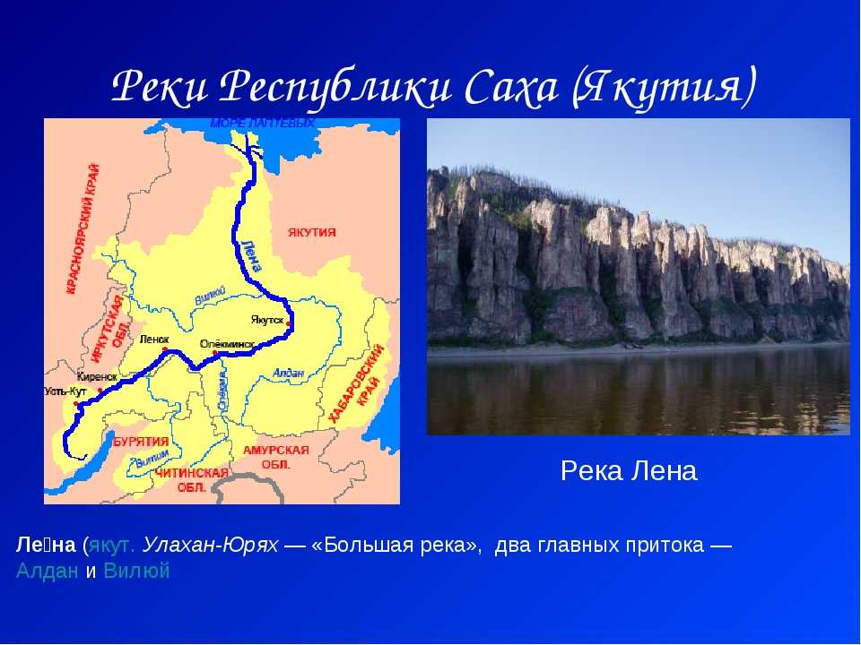 Лена (река)