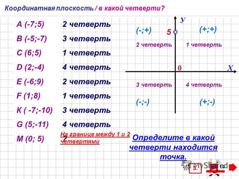 Координатная плоскость - правила построения, обозначения