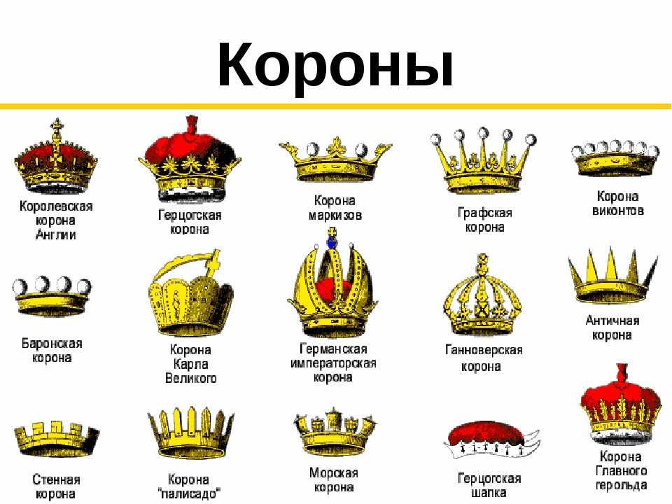 Что такое команда 228