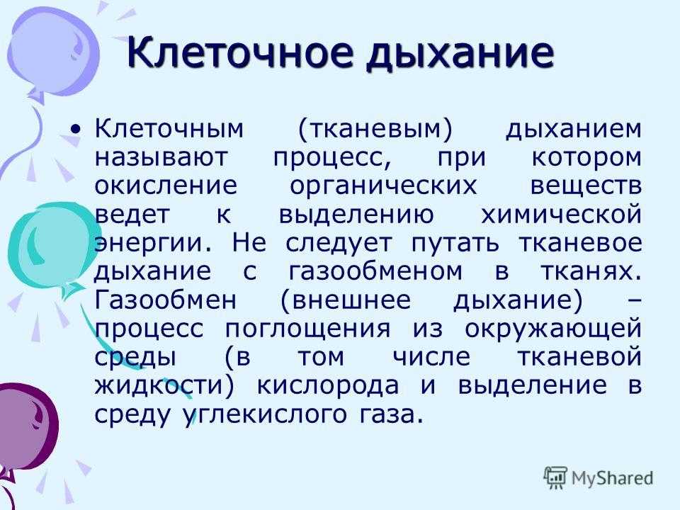 Энергетический обмен веществ и его этапы. ассимиляция и диссимиляция