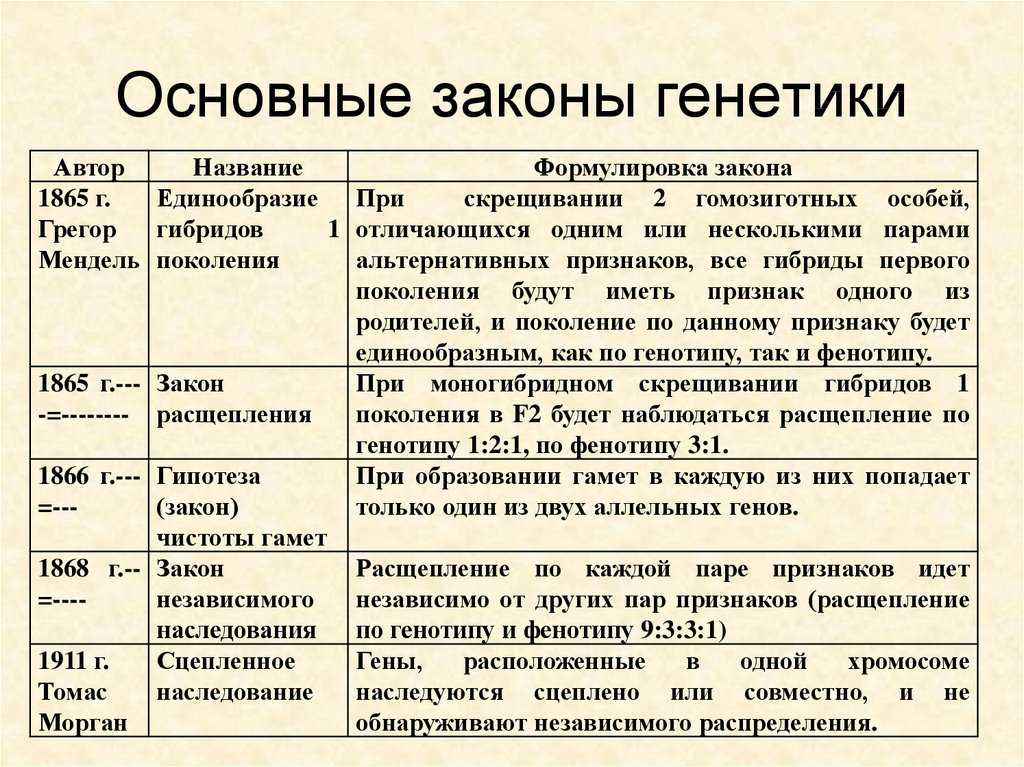 Генетическая структура популяций. закон харди — вайнберга