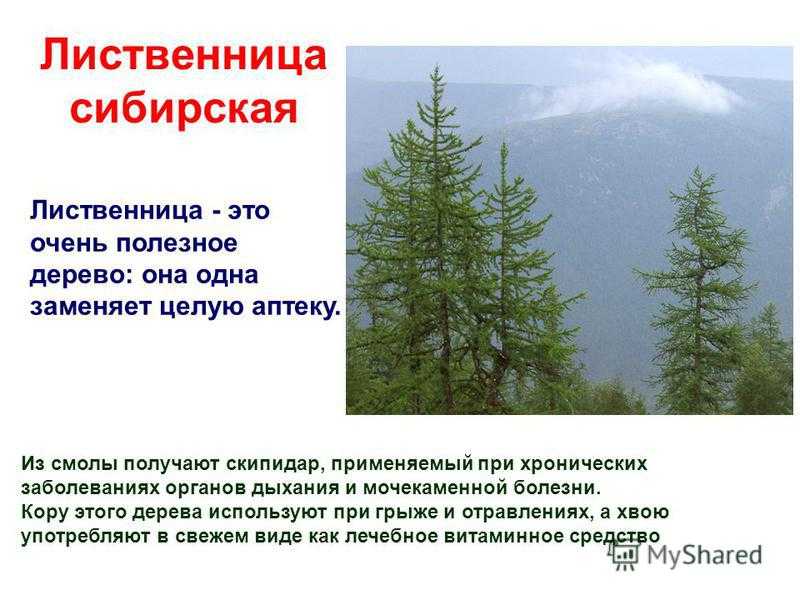 Девушка пятница: что это означает и какого рода влияние она оказывает