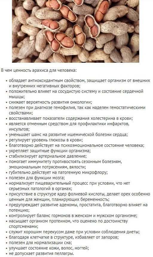 Арахис: польза, вред и калорийность | food and health