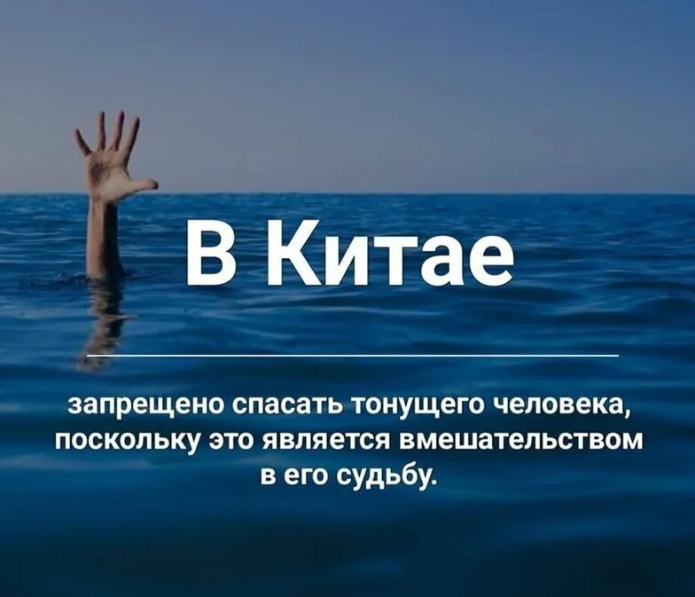 Где хранится наша память, как можно картографировать мозг и почему внимание — это фикция — нож