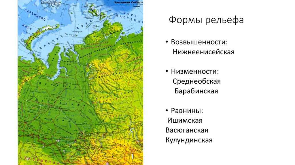 Урок 4: равнины и горы россии - 100urokov.ru