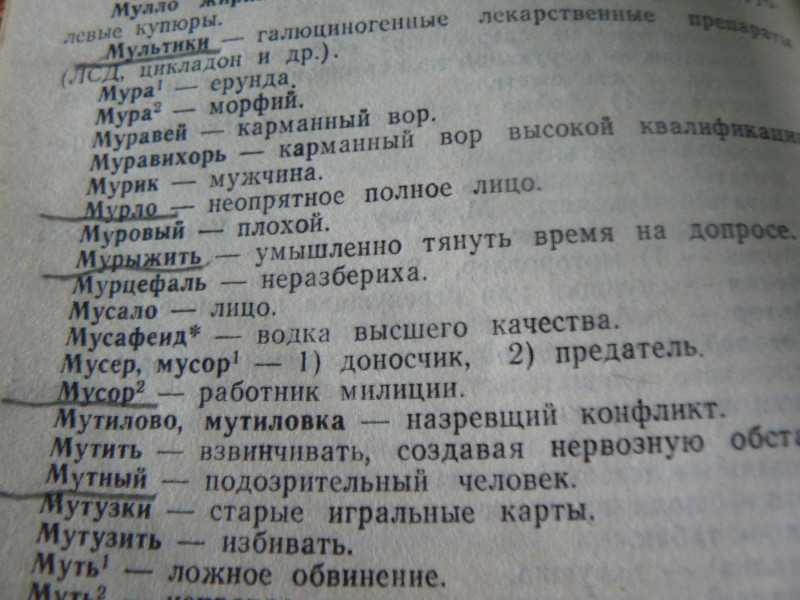 Клен расшифровка тюремная: что значит и как понять?
