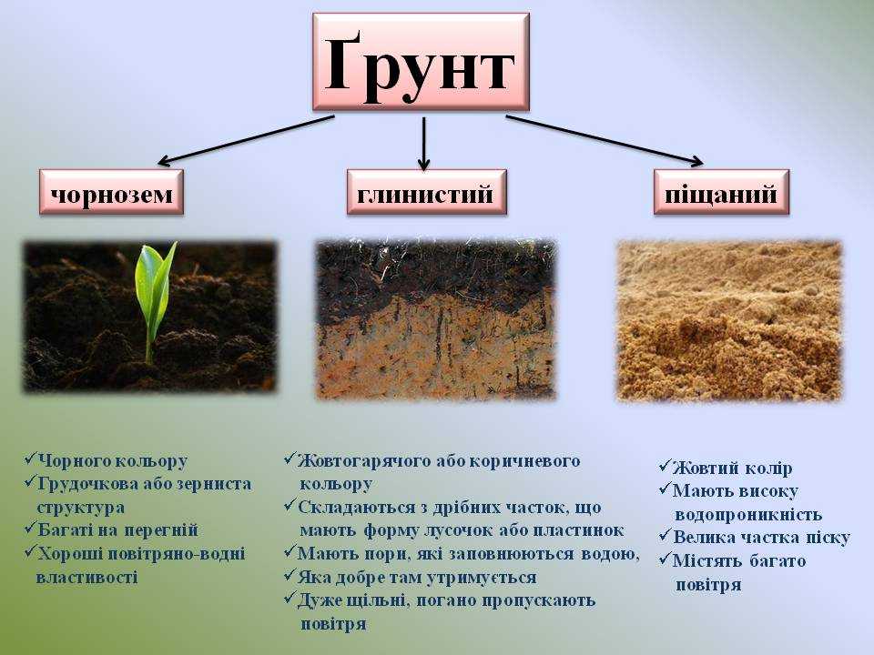 Закрытый грунт: что это значит и как его использовать