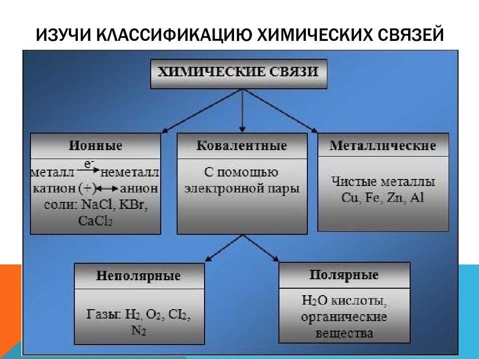 Гомогенная система: суть и принципы