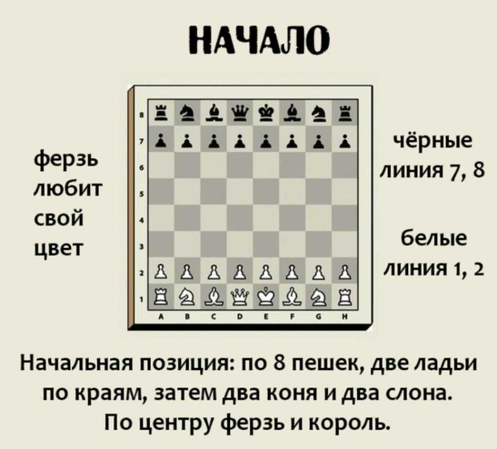 Шахматная ладья ее названия Тура Крепость Башня Она не всегда стояла как крепость на месте Была и боевой колесницей Ратхи самым грозным оружием того времени носилась по полям и по доске