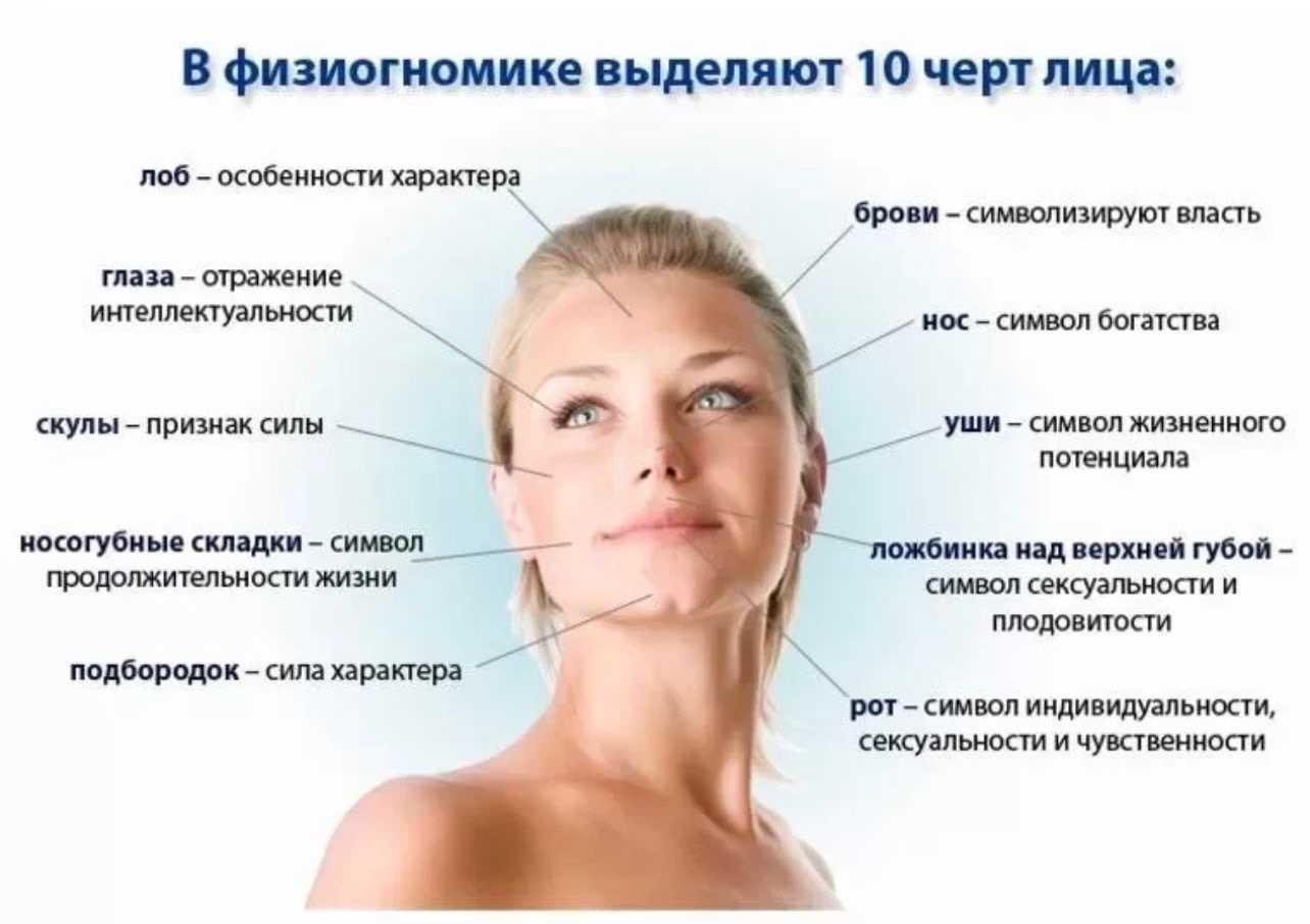 Ахилл (ахиллес) в греческой мифологии: мифы, история, краткое описание