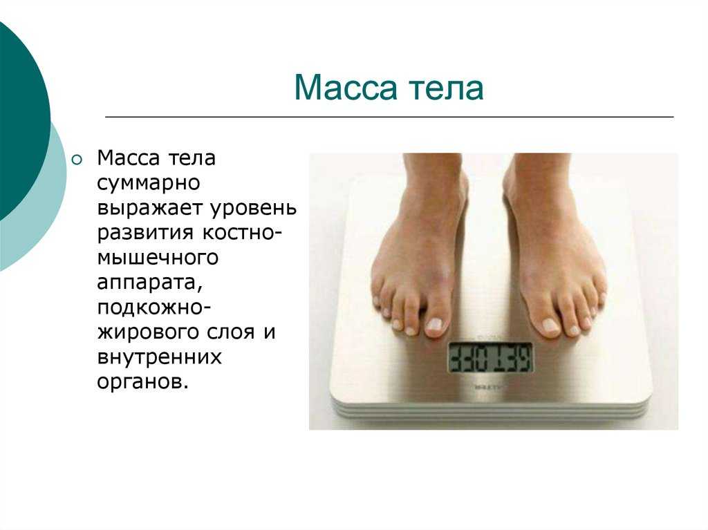 Что является единицей массы в международной системе