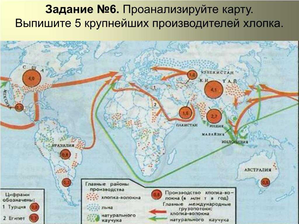Топ-10 крупнейших экспортеров сахара в мире - рейтинги - 2024