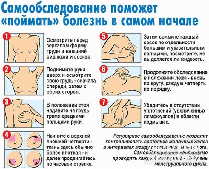 Гипертрофированный клитор