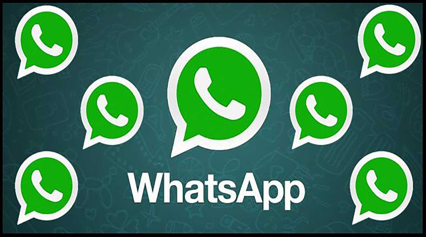 Что такое whatsapp business? чем он отличается от обычного whatsapp?
