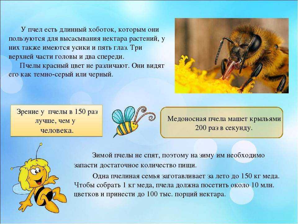 Ответ на филворд уровень 626 из одноклассников - общие темы