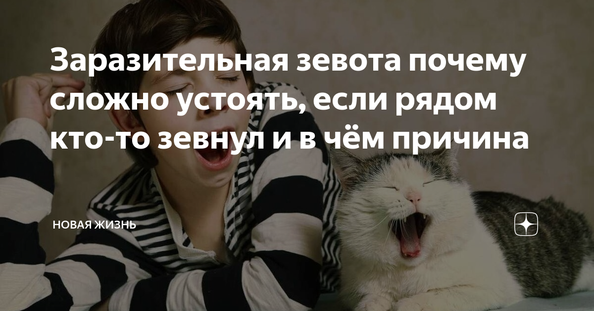 Женщина зевает при разговоре с мужчиной: при разговоре человек зевает почему. если при разговоре с вами ваш собеседник зевает — то может быть, ему не так уж и скучно с вами, как вы подумали. — надежда россии