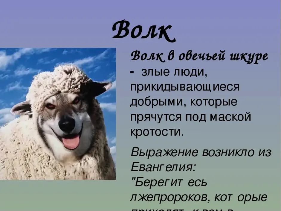 Смысл пословицы "дружные люди под одной бараньей шкурой помещаются"