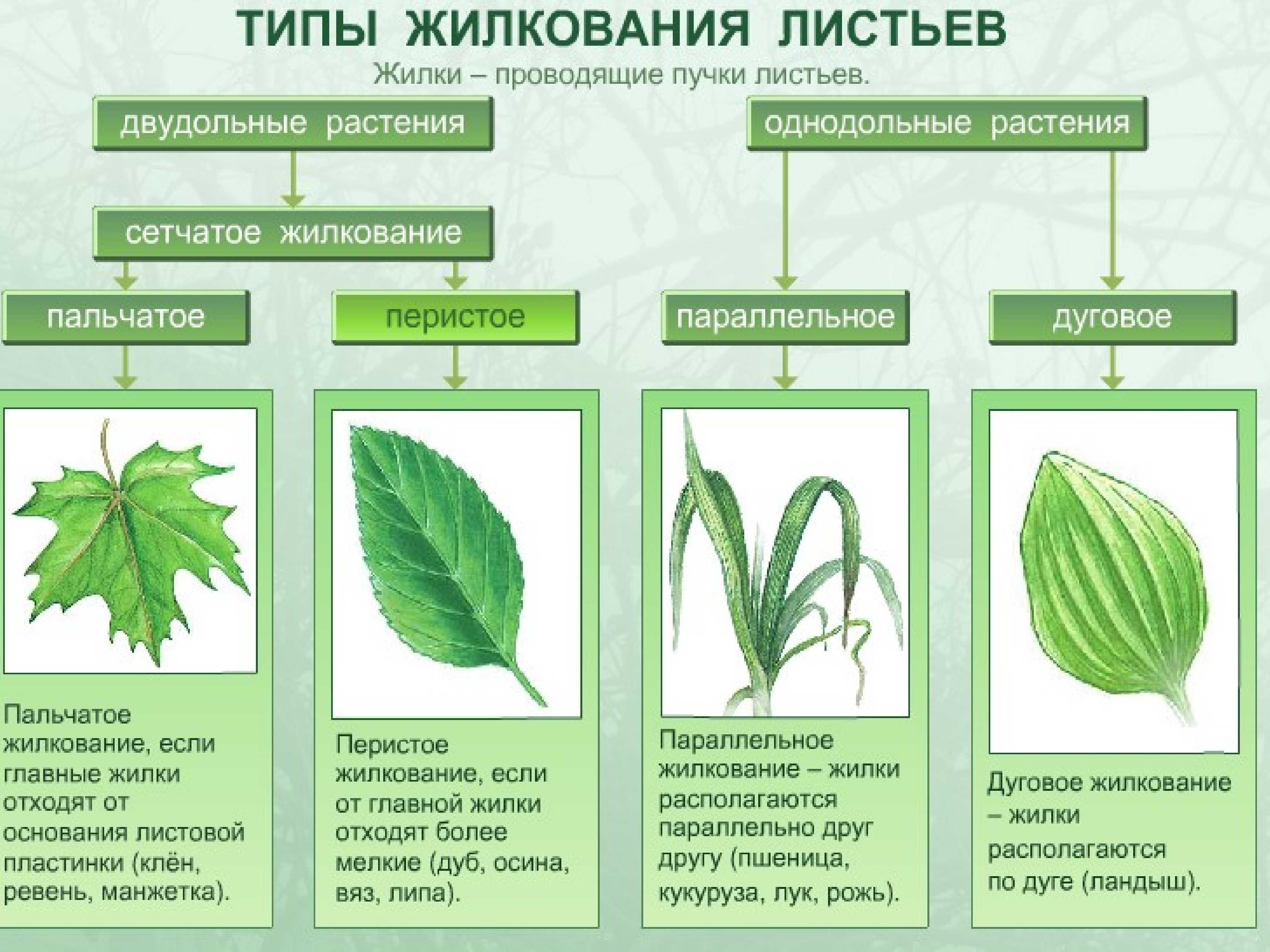 Военный паритет: его значение для молодежи