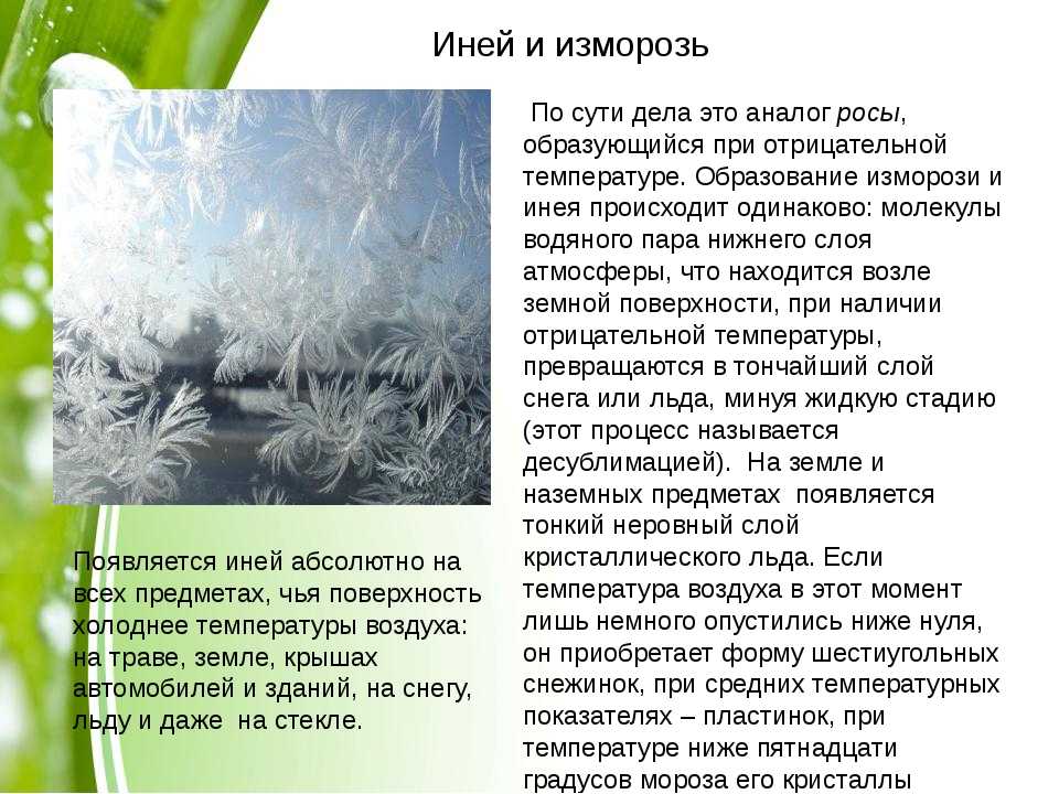 Что такое иней: подробная информация, 7 интересных фактов