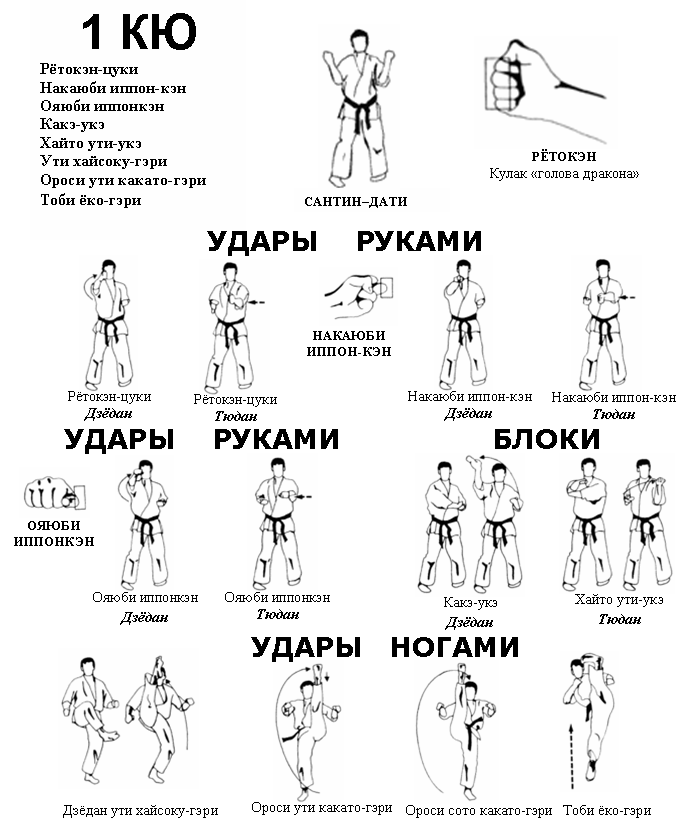 Техника и тактика | федерация киокусинкай коломны