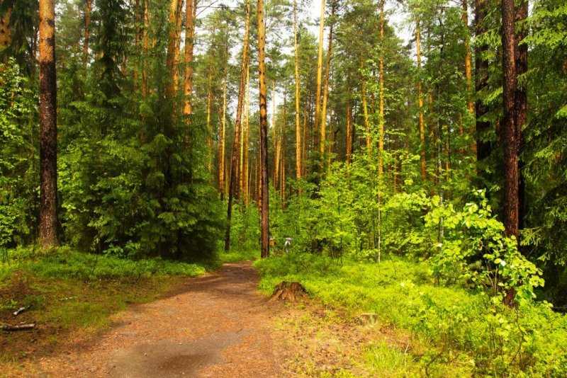 Урок 15: уральский район - 100urokov.ru