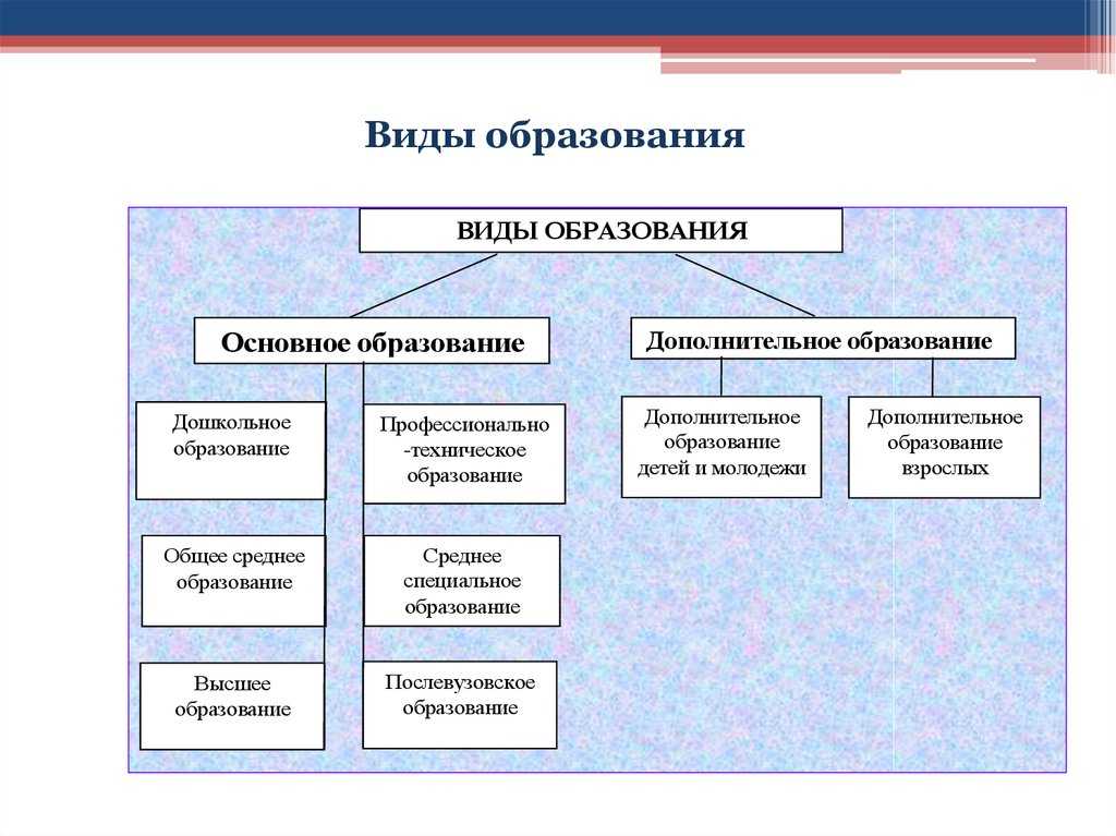 Ступени образования в россии:  какие есть уровни, формы обучения, правовое регулирование
