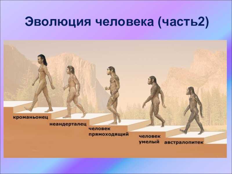 Неандерталец | вымершие животные вики | fandom